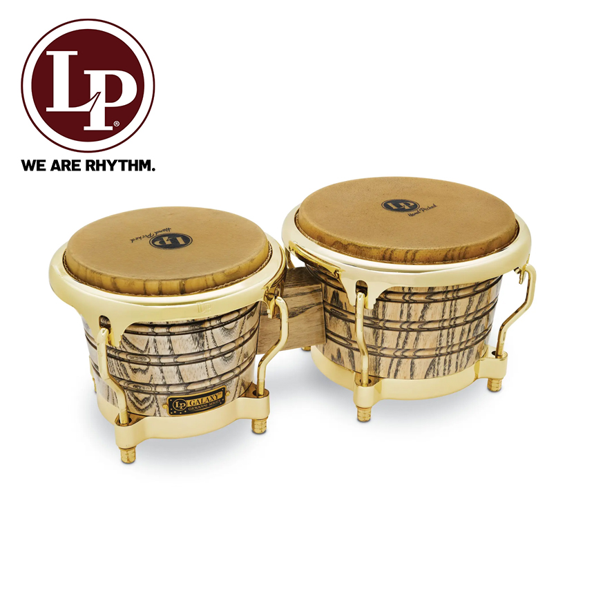 LP 갤럭시 지오바니 봉고 Galaxy Giovanni Series Bongo (Natural/Gold) (LP793X)
