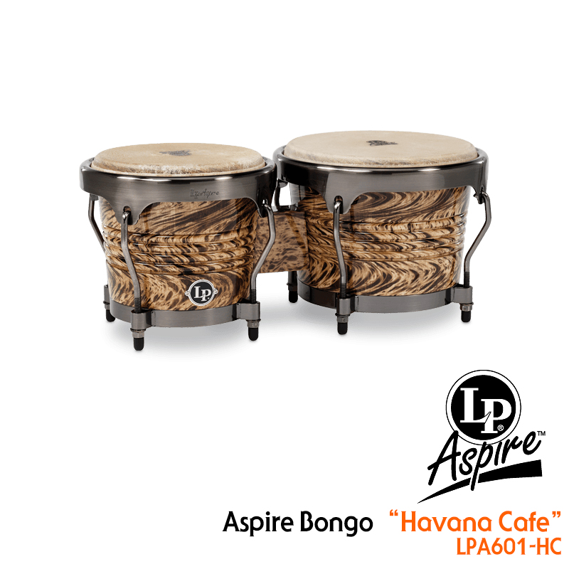 LP Aspire Bongo 'Havan Cafe'  (봉고, LPA601-HC)