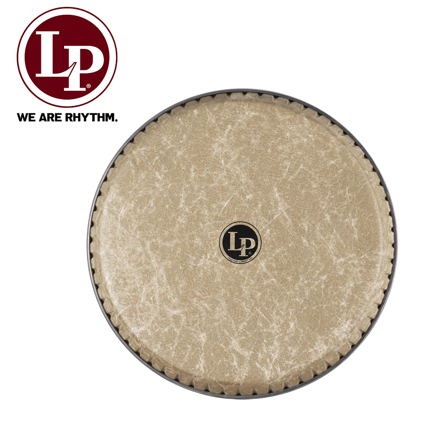 LP 파이버 스킨 콩가 헤드 사이즈 3종 (LP265AP, Fiberskyn Conga Head)