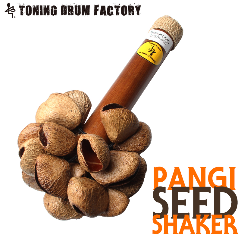 Toning Pangi Seed Shaker 12 (열매쉐이커) SHAK-12