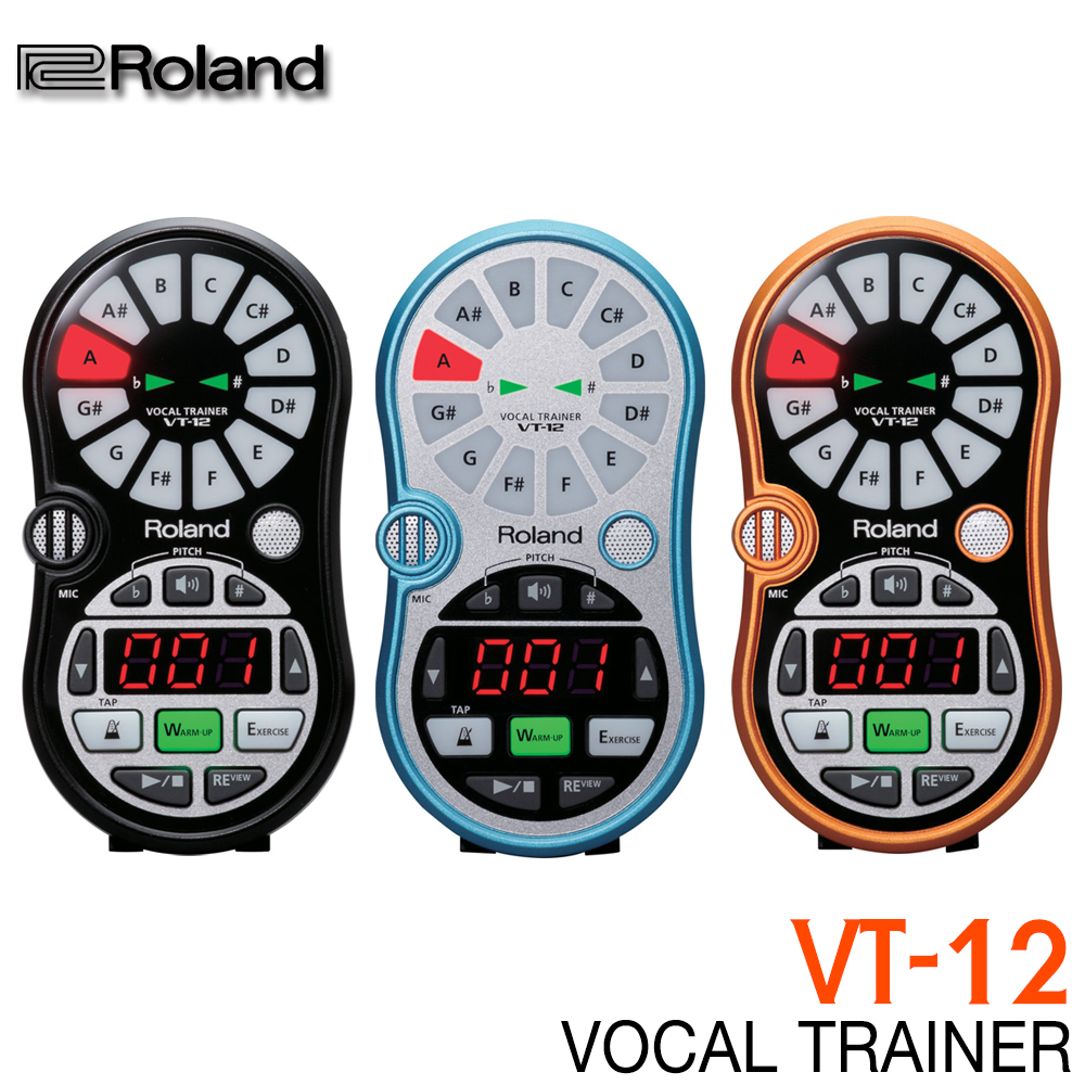 Roland VT-12 보컬 트레이너